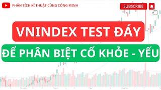 Nhận định TTCK ngày 98 Vnindex TEST ĐÁY - Phân biệt cổ khỏe và cổ yếu - Mua cổ khỏe khi RUNG LẮC