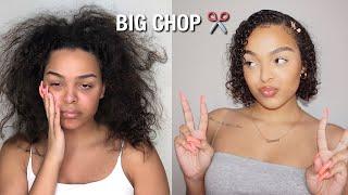 Cutting Off My Heat Damaged 3B Hair Big Chop 2020  mini vlog