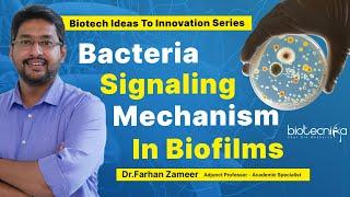 Biotech Ideas To Innovation Series  Bacteria Signaling Mechanism In Biofilms