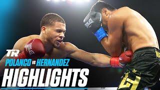 Rohan Polanco Puts A BEATING On Luis Hernandez  FIGHT HIGHLIGHTS