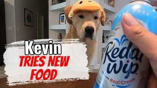 Kevin Tries New Food