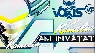 Voxis feat. Kamelia - Am Invatat  Lyric Video