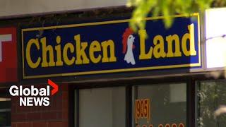 Mississauga Chicken Land murder tied to ISIS Crown prosecutors say