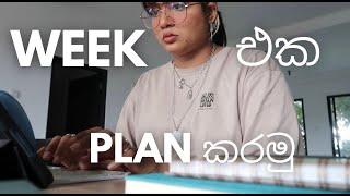 සිංහල Vlog  Planning  Cooking  Grocery shopping