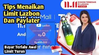 Bagaimana Cara Menaikkan Limit Lazada Paylater Dan Lazbon