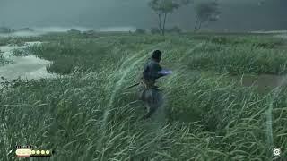 Ghost of Tsushima ONLINE then Story