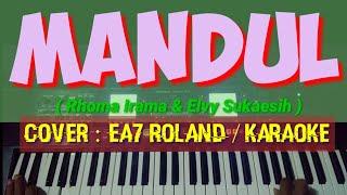 MANDUL KARAOKE DUET COVER EA7 ROLAND