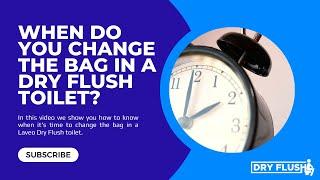 When do you change the bag in a Laveo toilet?