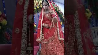 Gulabi Sadi  गुलाबी साड़ी  #shortsvideo #whatsappstatus #couplegoals #bridal #bridalmakeup #dulhan