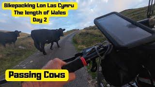 Trying to find a Stealth camping spot Cycling Lon Las Cymru The Length of Wales on a Cheap Eurobike.