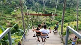 Day Tour Tegallalang Rice Terraces Bali Indonesia