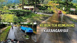 KONDISI JALUR KEBUN TEH KEMUNING SAAT INI