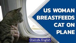 Woman breastfeeds cat on a flight making passengers feel uncomfortable  Oneindia News