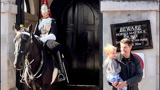 Equine Antics Laugh-Out-Loud Moments at Horse Guards in London