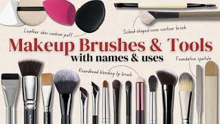 Makeup Brushes Guide for Beginners & Professional Artists With Demonstrations