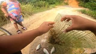 BUAT PERTAMA KALINYA TANGKAP IKAN MENGUNAKAN BUBU DAN MASAK