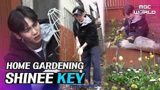 C.C. Made my own house garden and planted vegetables #SHINEE #KEY