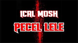 ICAL MOSH - PECEL LELE LIRIK KELI DISSTRACK