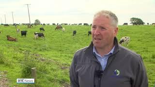 Group wins €2m prize to create world-first zero-emissions dairy farm