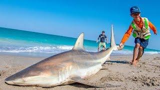 EPIC Day of Beach Fishing for Sharks and Pompano  Fan Episode - 4K
