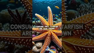 Mindless Starfish The Curious Case of Brainless Beings