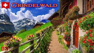 Grindelwald – The Stunning Beauty of Swiss Nature Walking Tour – Spring 2024