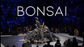 Bonsai  Super24 2019 Open Category Finals