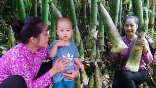 Harvesting Giant Bamboo Shoots & How to Preserve Bamboo Shoots for Longest Use  Tieu Mai Linh