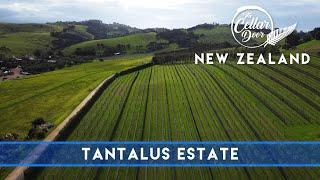 The Cellar Door New Zealand - S08E01 - Tantalus Estate Waiheke Island