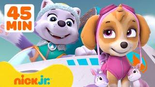 PAW Patrol Everest Rescues Skye & More Adventures w Chase  45 Minute Compilation  Nick Jr.