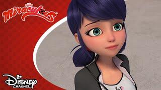  Értelmetlen munka?  Miraculous  Disney Csatorna