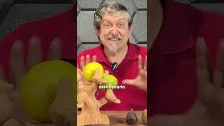 A fruta do pecado realmente era uma fruta? #luizsayao #biblia #professor #sabedoria #história #fe