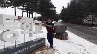 Keliling Kampus KNU menikmati Salju sisa Winter  Introduction to Kangwon National University