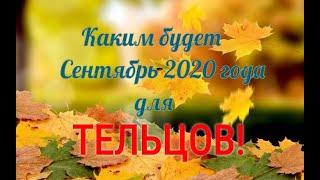 ТЕЛЕЦ ТАРО ПРОГНОЗ НА СЕНТЯБРЬ 2020 ГОДА