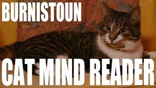 Burnistoun - Cat Mind Reader