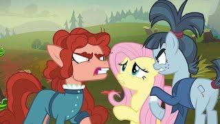 Fluttershy - Um if you could just not yell so much or maybe stop saying words altogether...