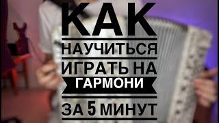 КАК НАУЧИТЬСЯ ИГРАТЬ НА ГАРМОНИ ЗА 5 МИНУТ