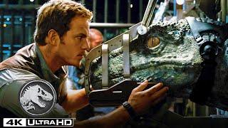 Jurassic World  Tracking The Indominus Rex in 4K HDR