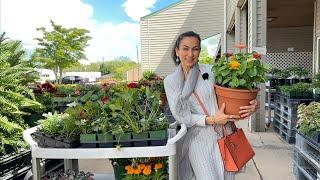 Shopping for More Plants and Flowers  Greenville Farmers Market  Heghineh Vlogs