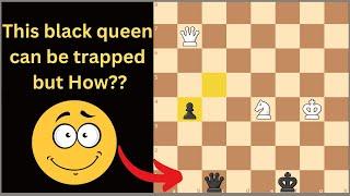 The Most Unbelievable Way To Trap a Queen Ever