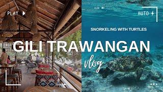 Pływanie z żółwiem i chillowy dzień na wyspie  GILI TRAWANGAN VLOG