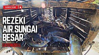 BUBU BAUNG REZEKI AIR SUNGAI BESAR.catch&sell#vlog106 #unlimitedhobby #unlimitedfishing