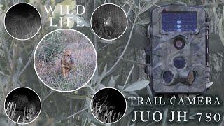 JUO JH-780  TRAIL CAMERA  Wildlife footage and camera setup  Vahşi yaşam görüntüleri