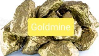 Intro Into A Lead System Goldmine