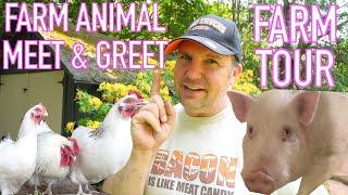 Meet Our Animals - FARM TOUR