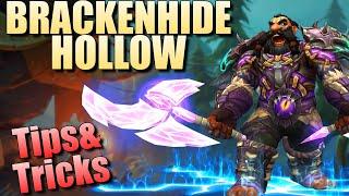 Enhancement Shaman  Tips&Tricks +15 Brackenhide Hollow  Dragonflight S4 M+