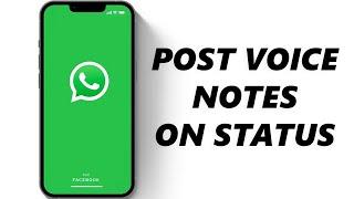 How To Post Voice Note On WhatsApp Status