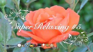 SUPER Relaxing #5 - 1 Hour Loop Flower Duet from Lakmé- piano with bird-singing and stream sound