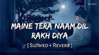 Maine Tera Naam Dil Rakh Diya Slowed + Reverb  Raghav Chaitanya  Ek Villain Returns  SR Lofi