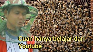 MANTAN KULI BANGUNAN HANYA BELAJAR DARI YOUTUBE HASILKAN 67 JUTA PER MINGGU DARI BUDIDAYA LEBAH